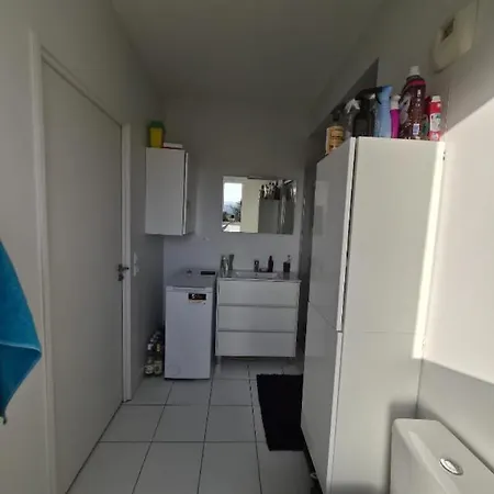 Lägenhet Cosy Villeurbanne